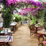 راه اندازی باغ رستوران